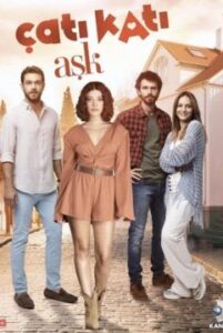 Любовь на крыше