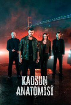 Анатомия хаоса