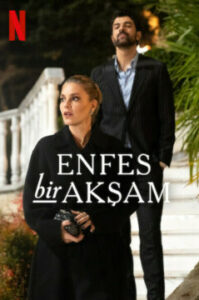 Восхитительный вечер